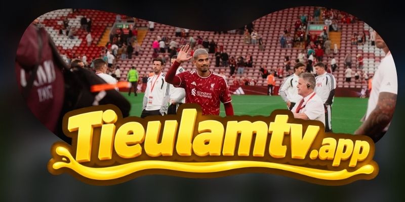 Gợi ý chốt kèo tổng hợp trận Newcastle United vs Liverpool ngày 23/08